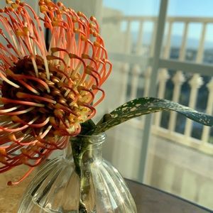 Meet your Posher, Yasmeen